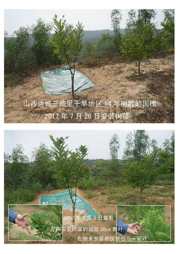 图片16.jpg