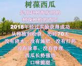 文章附圖