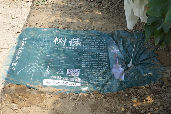 图片5.jpg