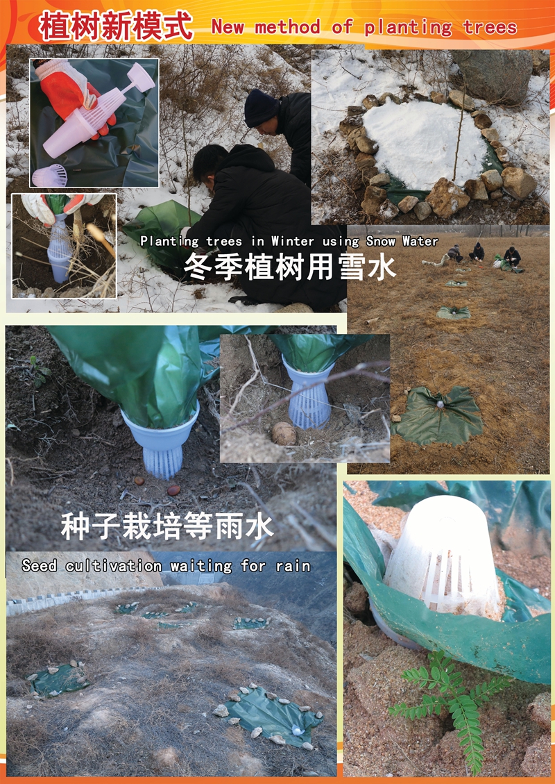 冬季植树.jpg