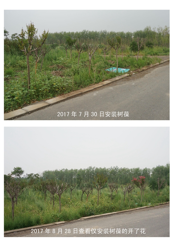 图片13.jpg