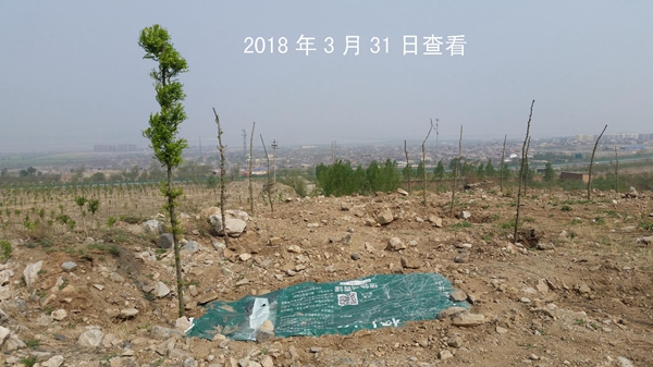 图片15.jpg