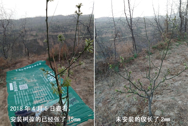 图片17.jpg