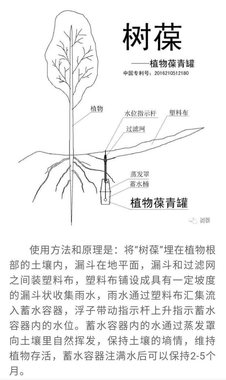 图片15.jpg