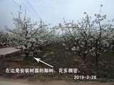 文章附圖