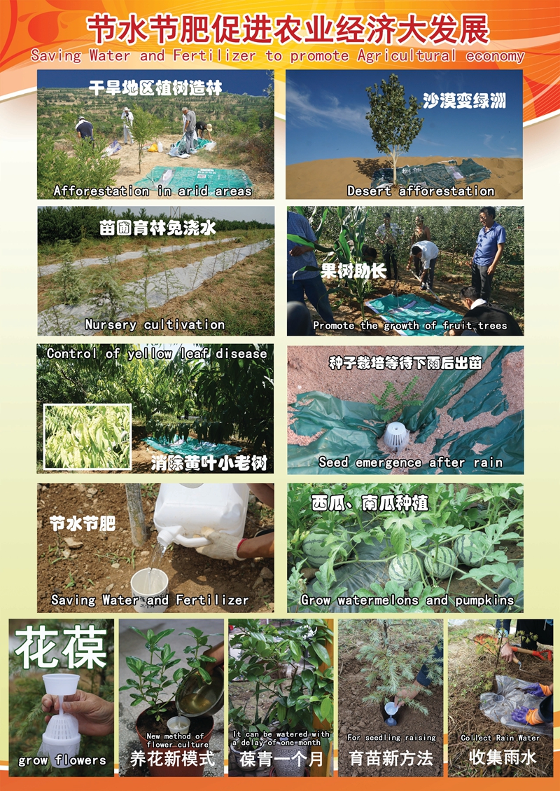版面2.jpg