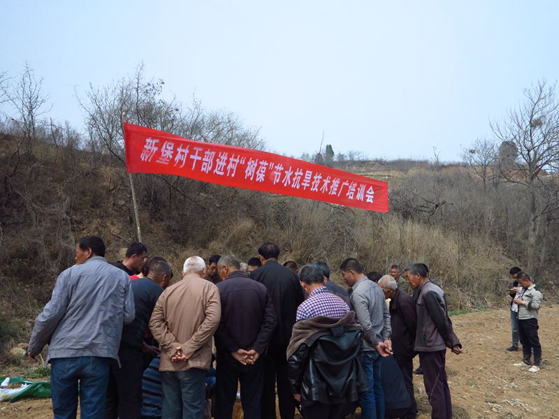 03新堡村精准扶贫用树葆.jpg