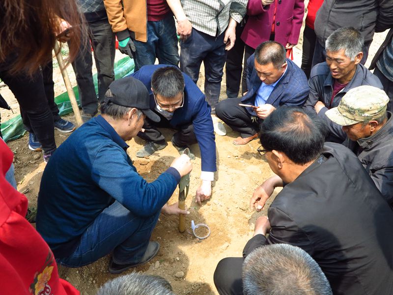 06村民对树葆种西瓜热情很高.jpg