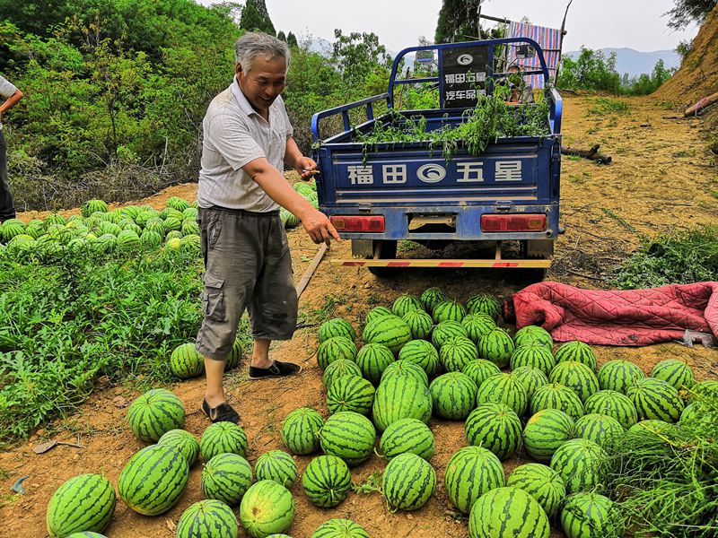 10个数可真不少.jpg
