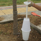 树葆-土质地带-免浇水型