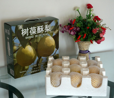 树葆酥梨