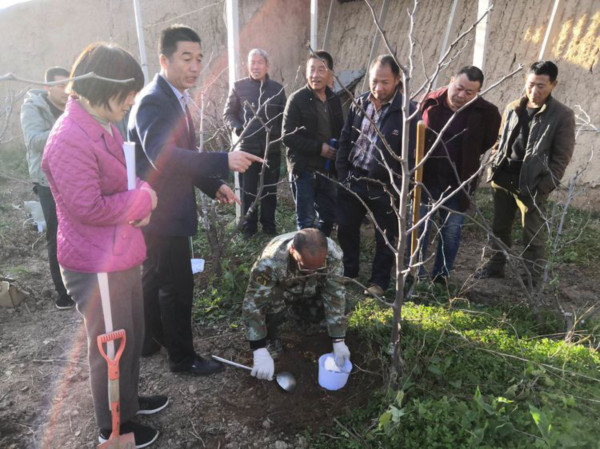 thewinterjujubetreeinthebigshedusesthenewinventionofscienceand