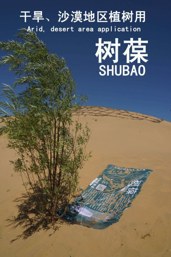 thewinterjujubetreeinthebigshedusesthenewinventionofscienceand